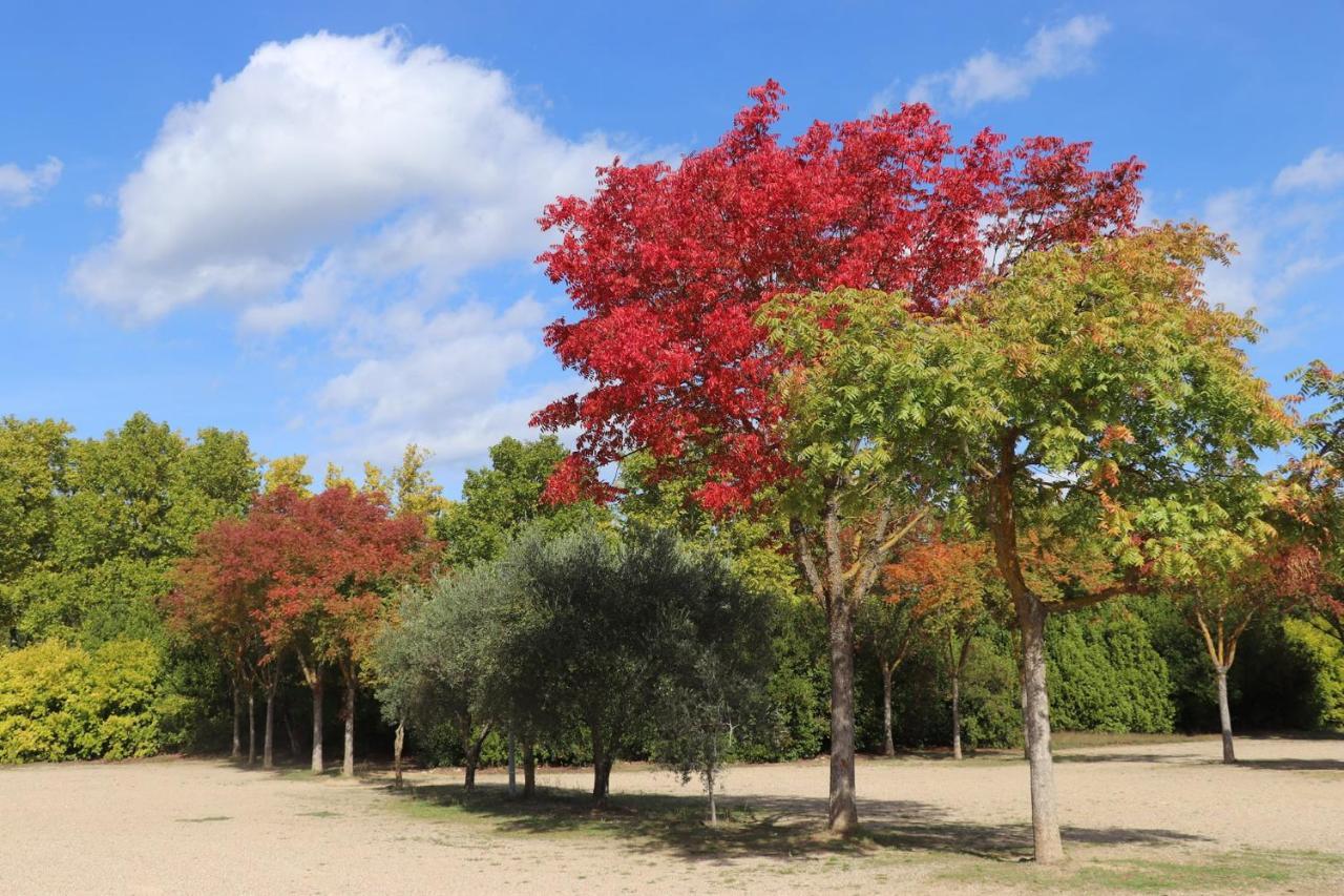 Frühstückspension La Bastide Des Pins