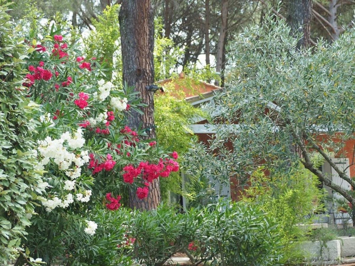 Frühstückspension La Bastide Des Pins *