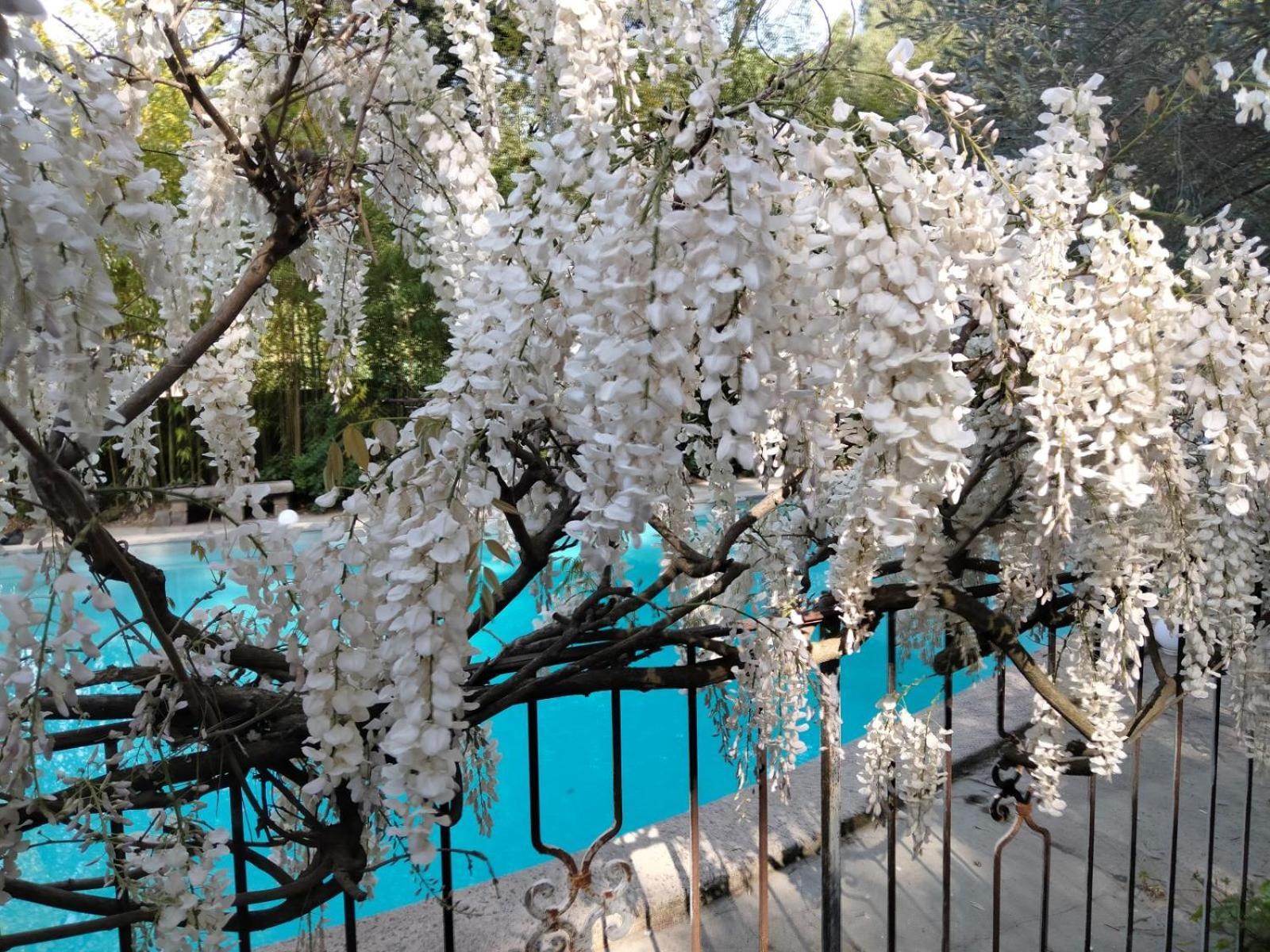 La Bastide Des Pins Frühstückspension *