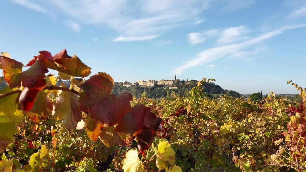 La Bastide Des Pins * Castillon-du-Gard